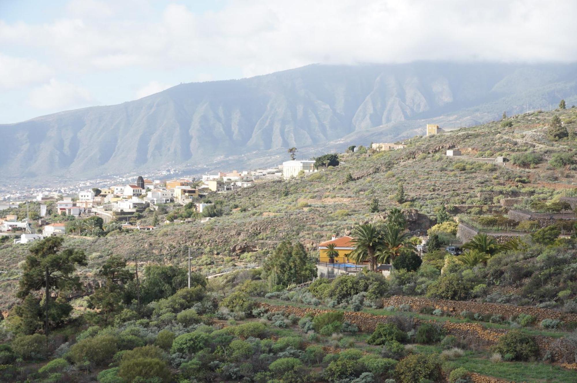 Casa Colores Tenerife Guesthouse Candelaria Kültér fotó
